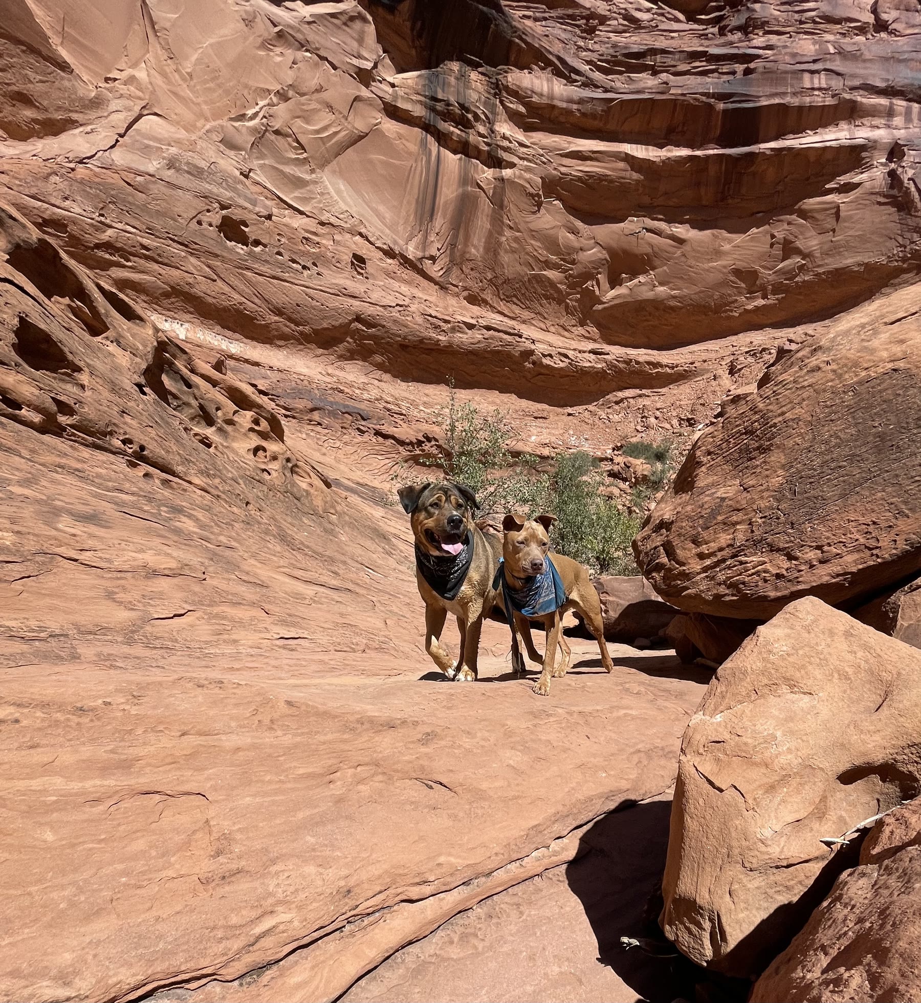Moab, Utah