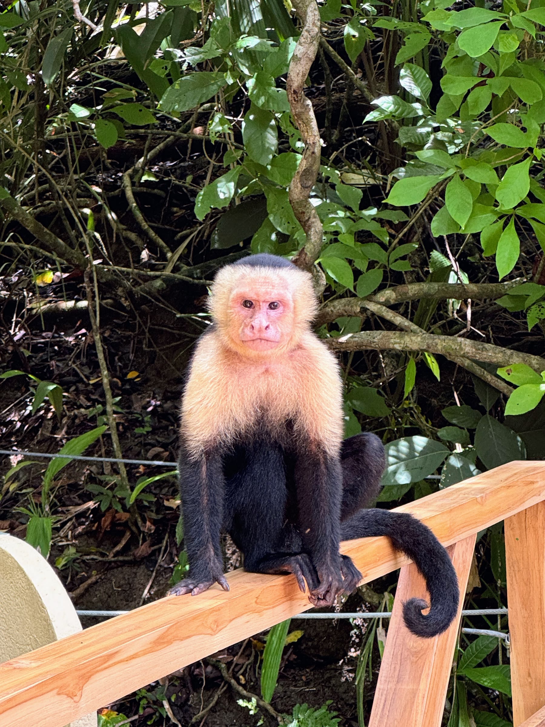 Costa Rica