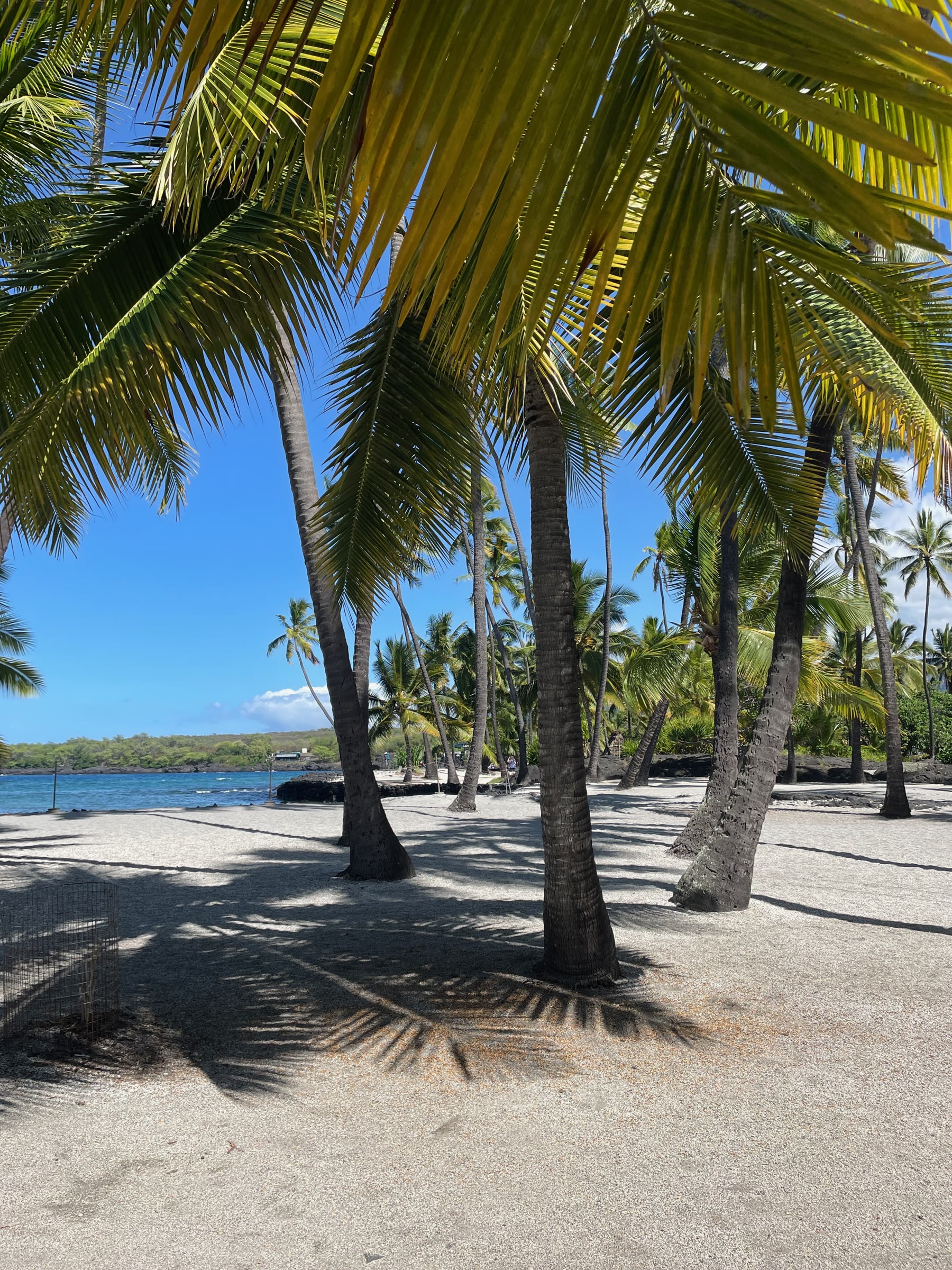 Island of Hawaii